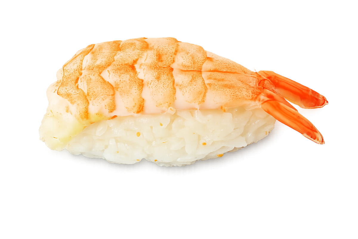 Shrimp Nigiri